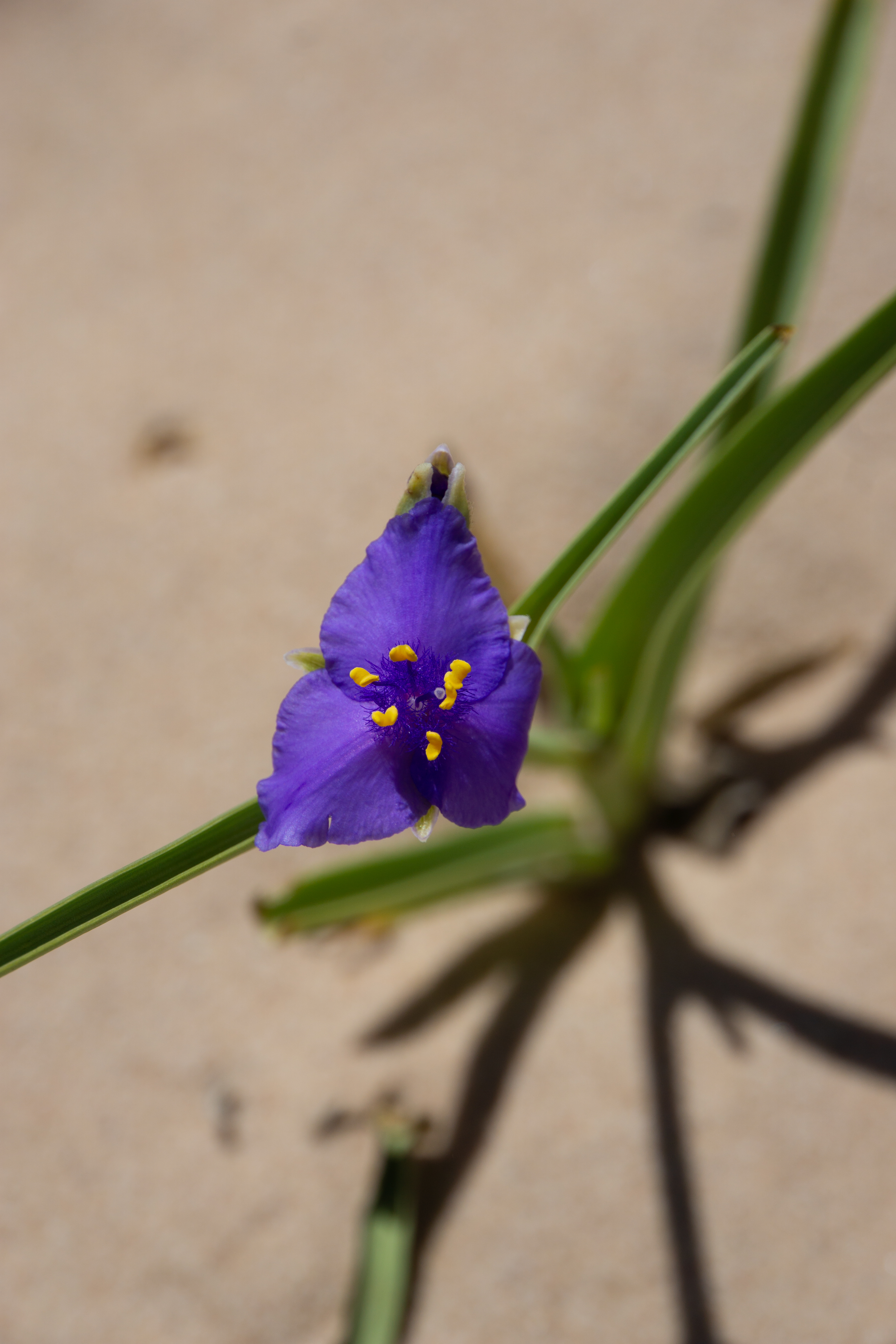 US National Parks 2022 23